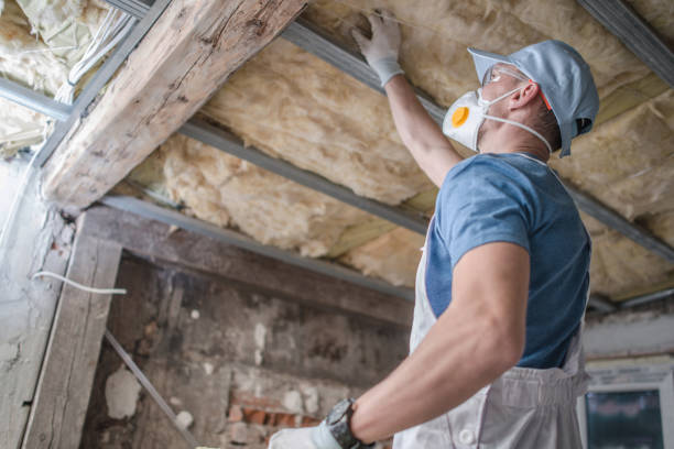 Best Energy Efficiency Solutions in South Windham, CT